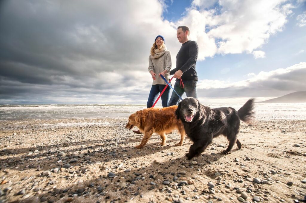 couple walking the dog on the beach
