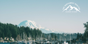sunny winter day photo of mount rainer from gig harbor
