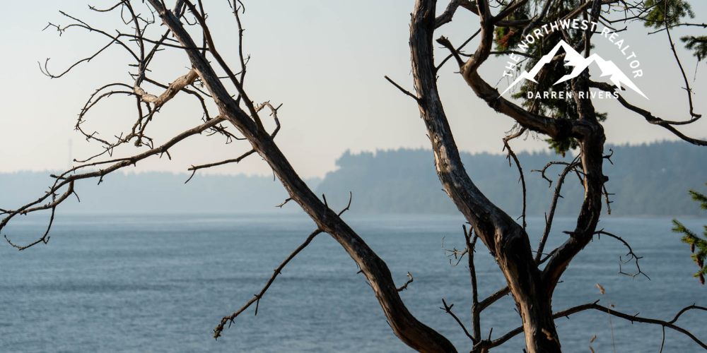Trees Overlooking Puget Sound Maplewood WA