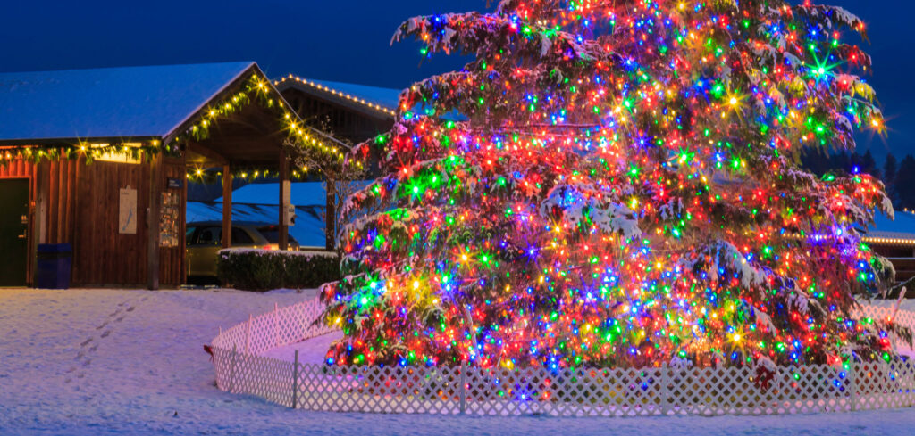 gig harbor christmas tree