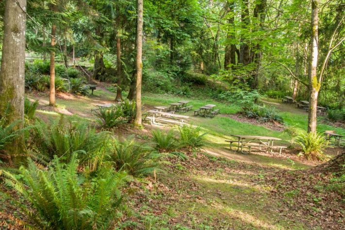 Kopachuck park picnic area